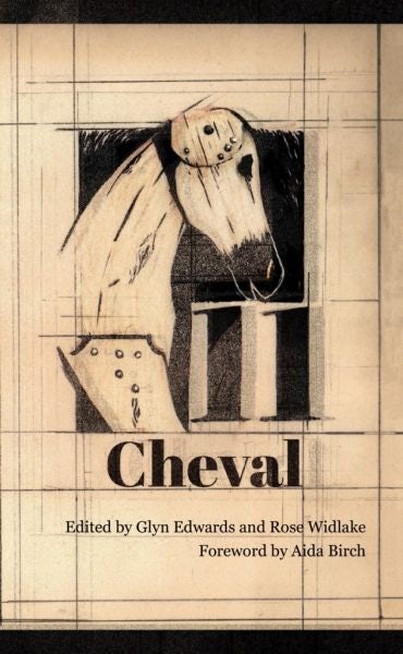 Cover image for Cheval 11 - The Terry Hetherington Award Anthology 2018, isbn: 9781912681082