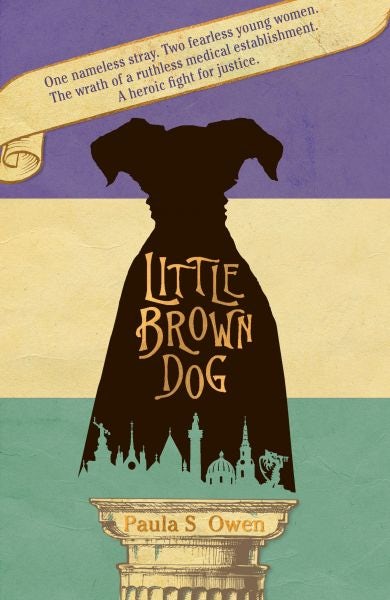 Cover image for Little Brown Dog, isbn: 9781912905430