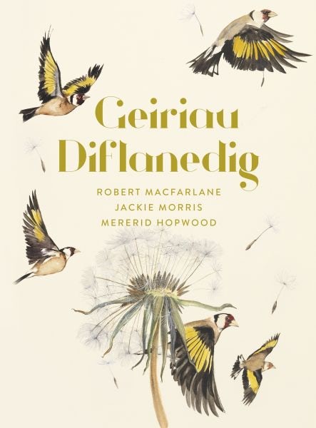Cover image for Geiriau Diflanedig, isbn: 9781913134617