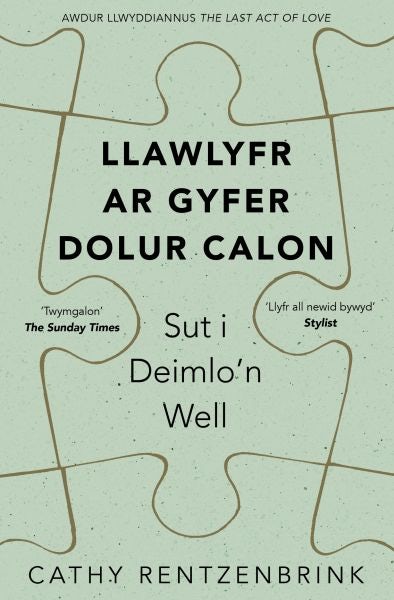 Cover image for Darllen yn Well: Llawlyfr ar Gyfer Dolur Calon, isbn: 9781913134976
