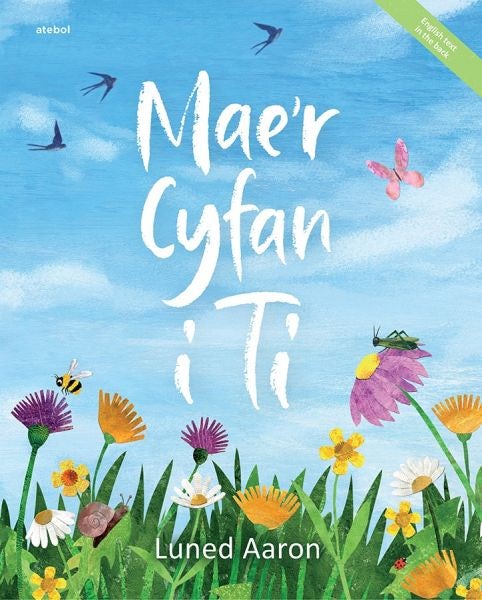 Cover image for Mae'r Cyfan i Ti, isbn: 9781913245382