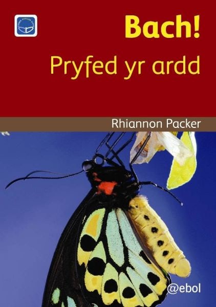 Cover image for Cyfres Darllen Difyr: Bach! Pryfed yr ardd, isbn: 9781913245689