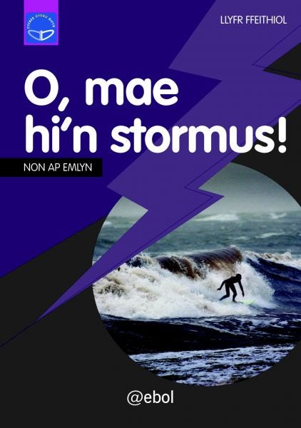 Cover image for Cyfres Dysgu Difyr: O, Mae Hi'n Stormu, isbn: 9781913245856