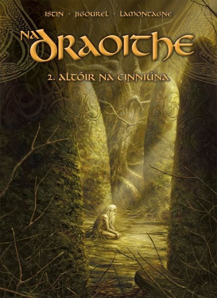 Cover image for Na Draoithe: 2. Altóir na Cinniúna, isbn: 9781913573874