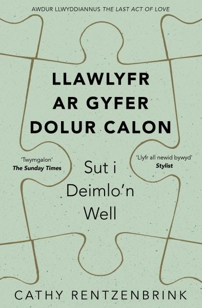 Cover image for Llawlyfr ar gyfer Dolur Calon, isbn: 9781913634698