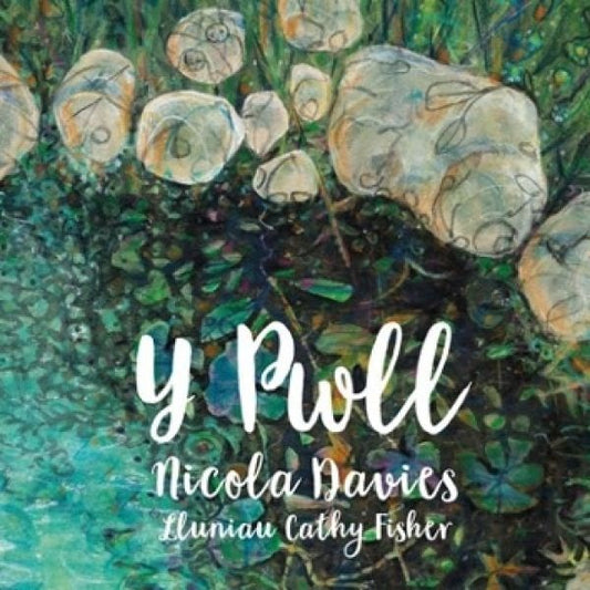 Cover image for Y Pwll, isbn: 9781913733865