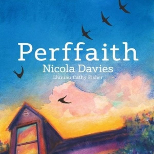 Cover image for Perffaith, isbn: 9781913733872