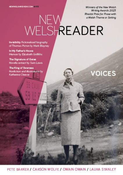 Cover image for New Welsh Reader 133 (New Welsh Review, autumn 2023), isbn: 9781913830236