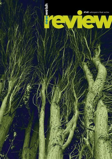 Cover image for New Welsh Review 141, isbn: 9781913830380