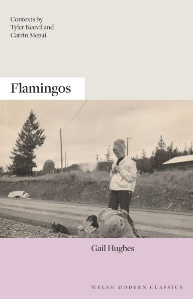Cover image for Flamingos, isbn: 9781913830908