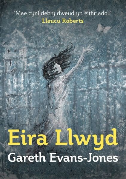 Cover image for Eira Llwyd, isbn: 9781913996055