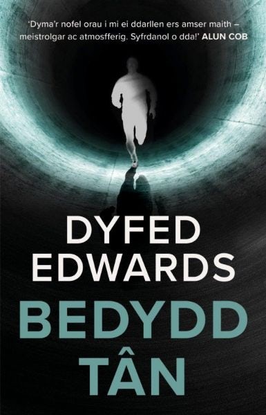 Cover image for Bedydd Tân, isbn: 9781913996161