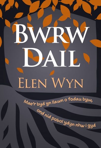 Cover image for Bwrw Dail, isbn: 9781913996604