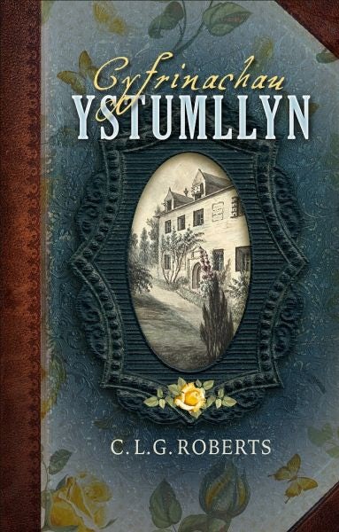 Cover image for Cyfrinachau Ystumllyn, isbn: 9781913996628