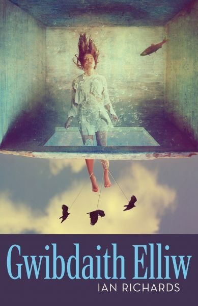 Cover image for Gwibdaith Elliw, isbn: 9781913996925