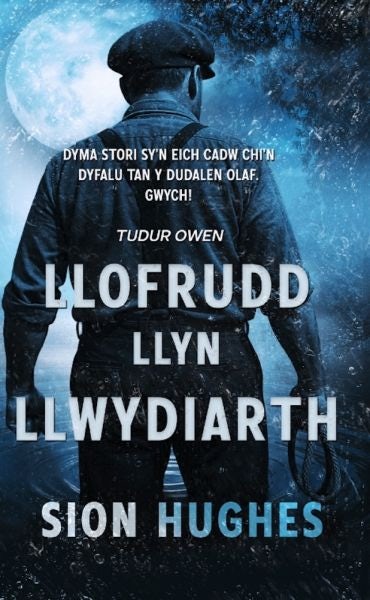 Cover image for Llofrudd Llyn Llwydiarth, isbn: 9781915649607