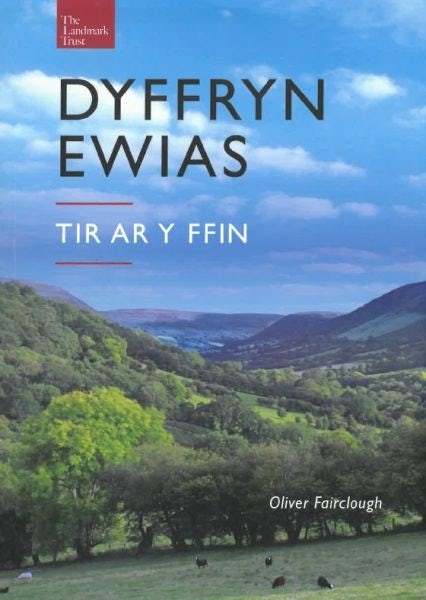 Cover image for Dyffryn Ewias - Tir ar y Ffin, isbn: 9781916478602