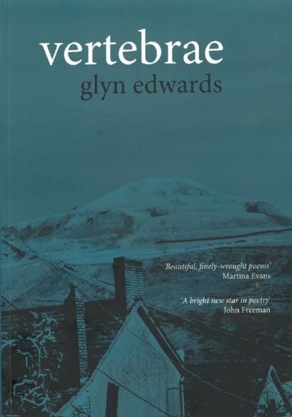 Cover image for Vertebrae, isbn: 9781916498754