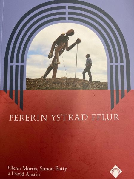 Cover image for Pererin Ystrad Fflur, isbn: 9781916873582
