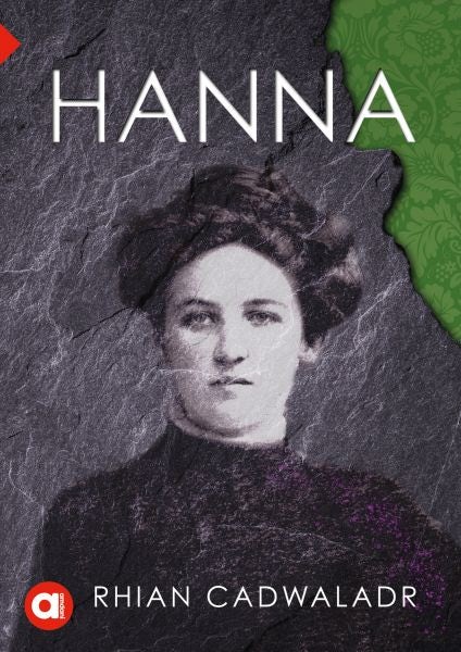 Cover image for Cyfres Amdani: Hanna, isbn: 9781917006019