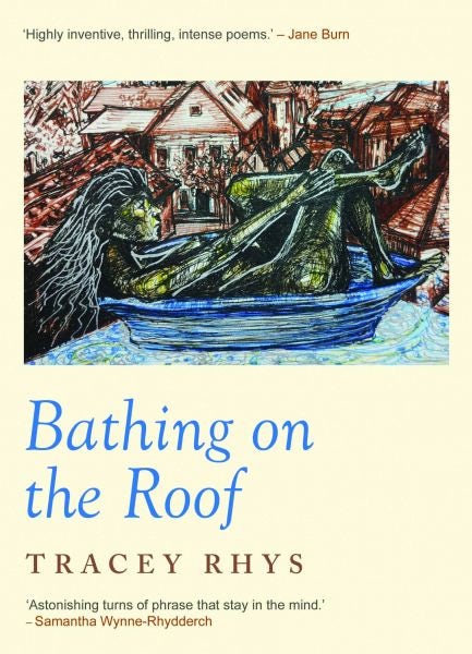 Cover image for Bathing on the Roof, isbn: 9781917140485