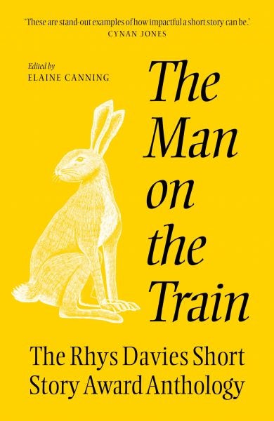 Cover image for The Man on the Train, isbn: 9781917140898