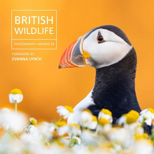 Cover image for British Wildlife Photography Awards 13, isbn: 9781917467575