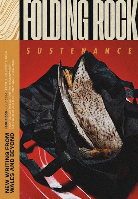 Cover image for Folding Rock 005: Food, isbn: 9781917631082