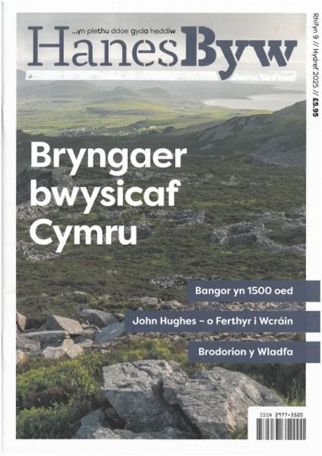 Cover image for Hanes Byw 9 (Hydref 2025), isbn: M413563777