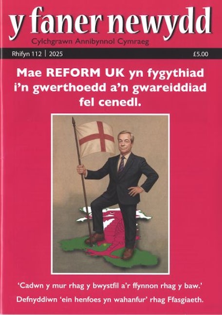 Cover image for Y Faner Newydd 112 (Haf 2025), isbn: M989898989
