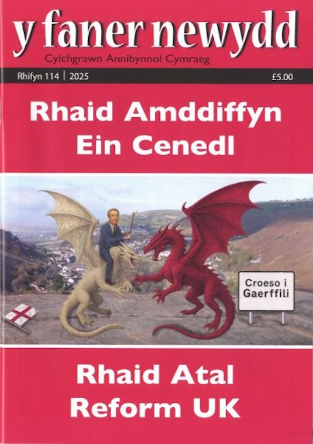 Cover image for Y Faner Newydd 114 (Gaeaf 2025), isbn: N189898989