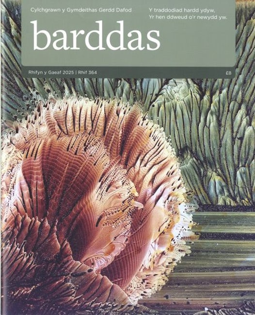 Cover image for Barddas 364 (Gaeaf 2025), isbn: O111223344